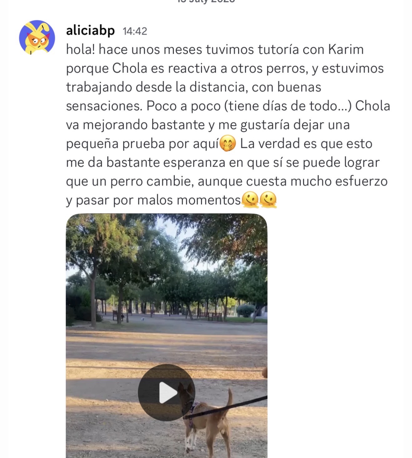 Alicia comparte en la comunidad el progreso de Chola, perra reactiva