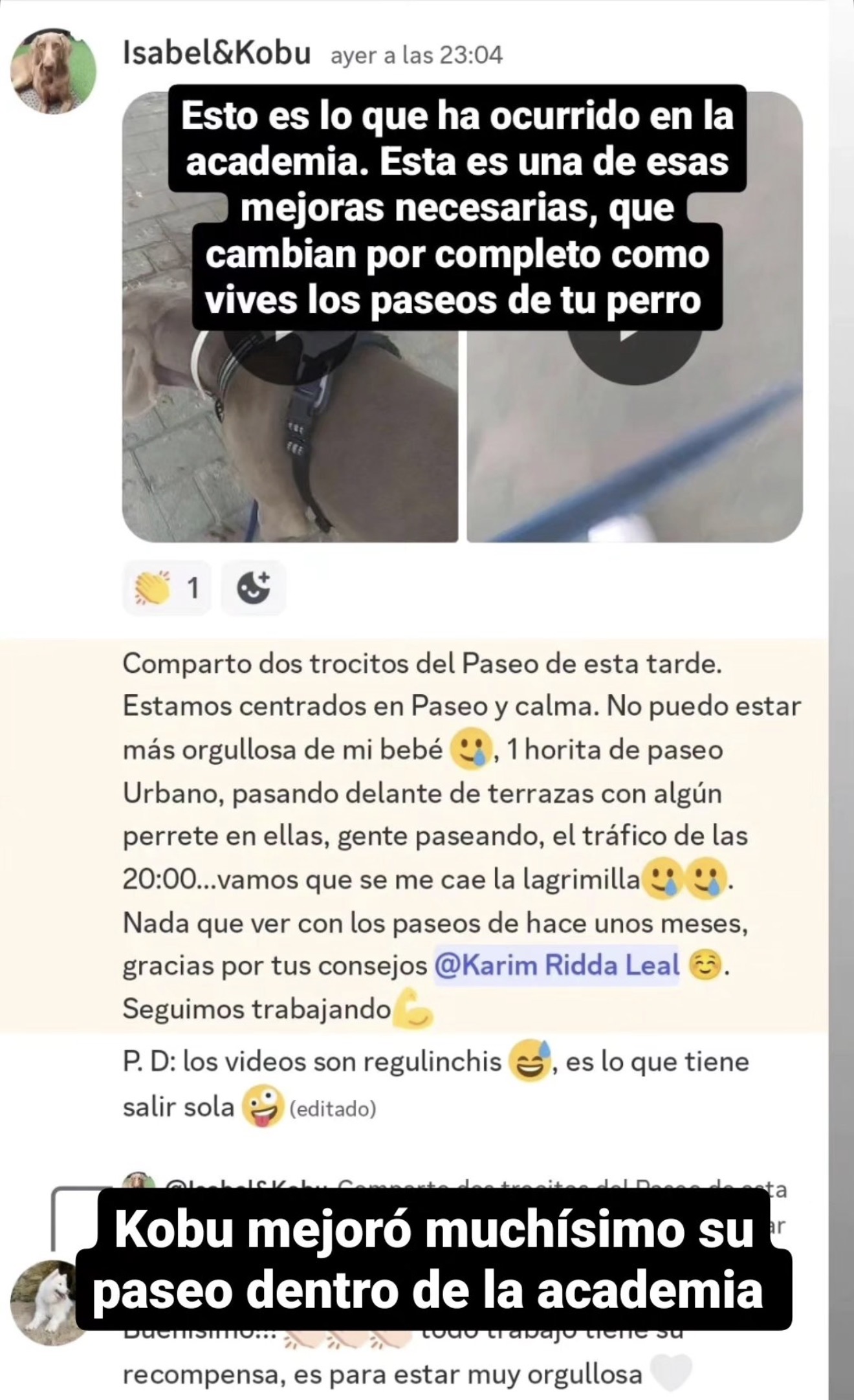 Testimonio real: mejora de Kobu en los paseos