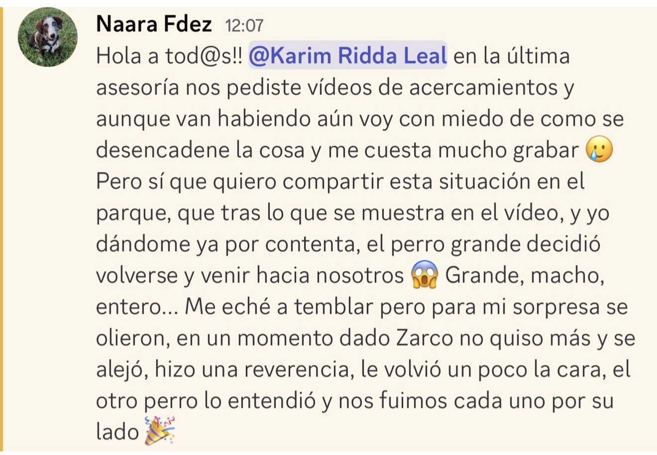 Naara comparte con Karim el progreso de Zarco en un encuentro con otro perro