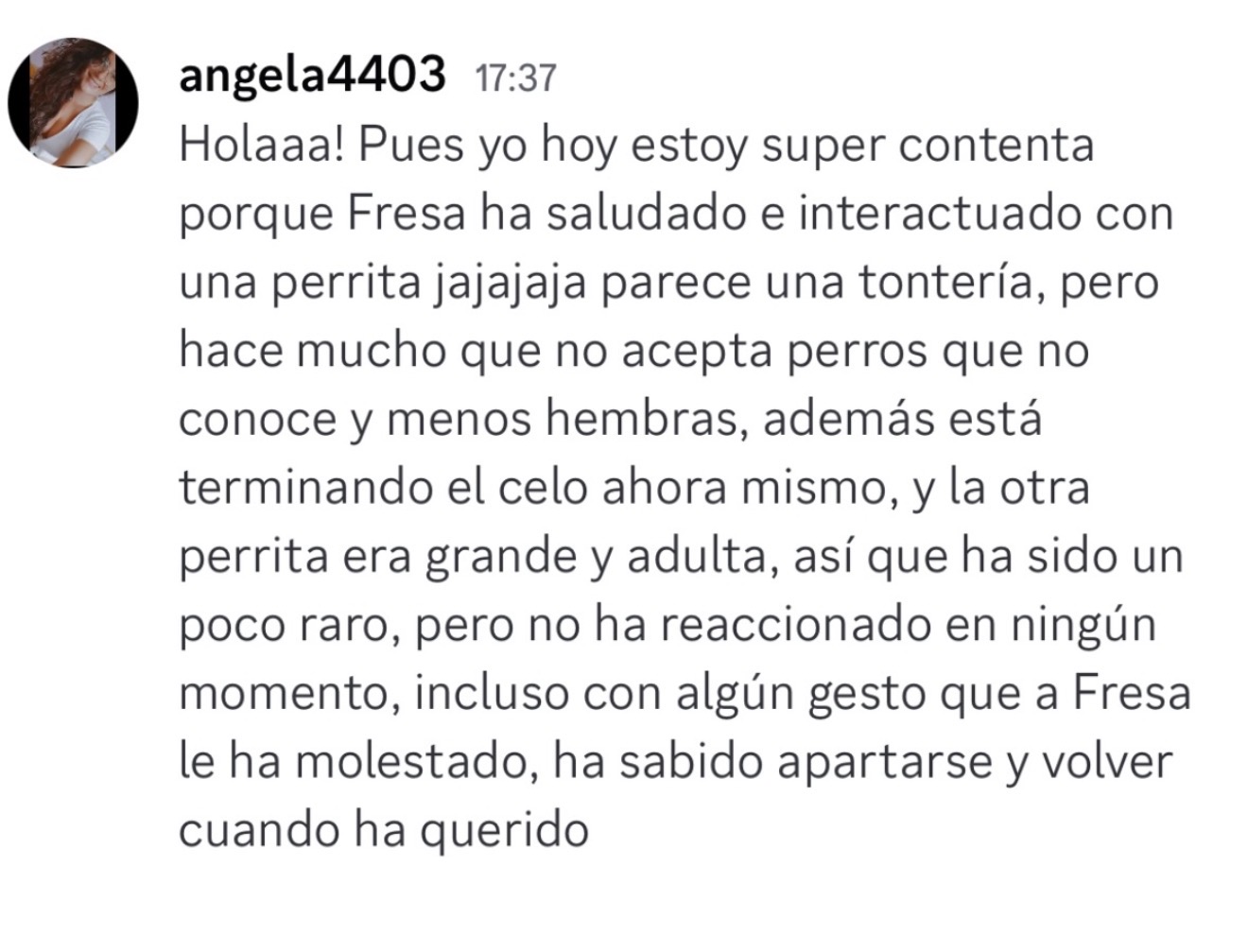 Ángela comparte que Fresa ha interactuado bien con otra perra