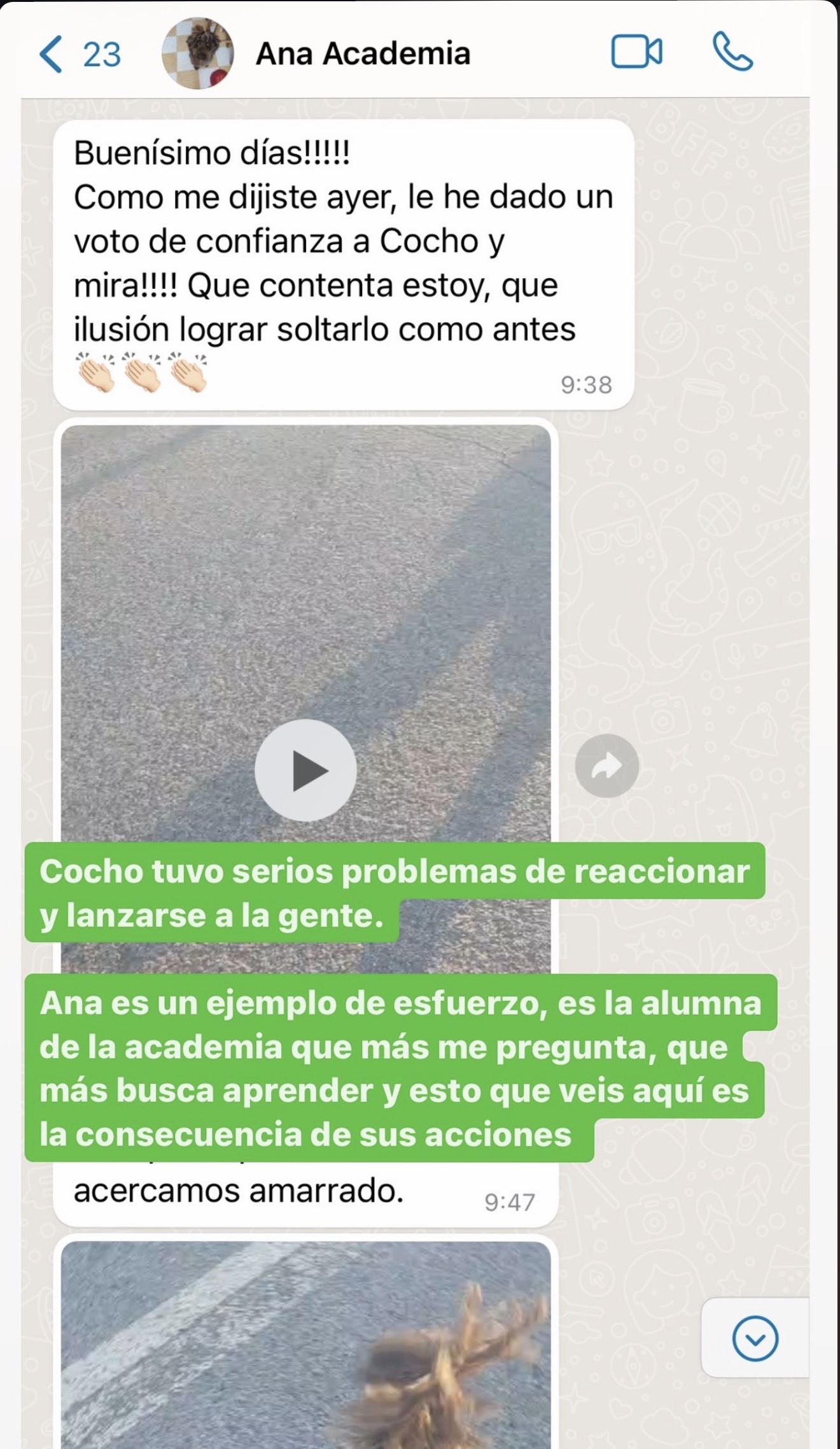 Conversación real sobre los avances de Cocho